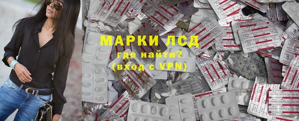 PSILOCYBIN Алзамай