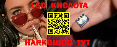 a pvp Белореченск