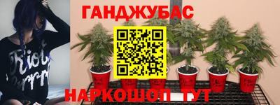 герыч Бердск