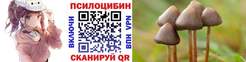 Галлюциногенные грибы Cubensis  гидра ONION  Богданович  где найти  
