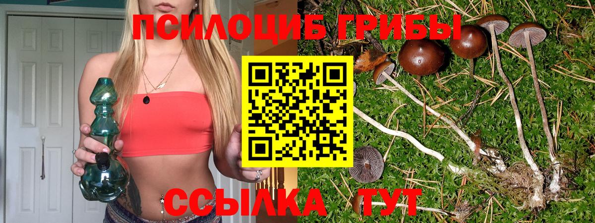 Галлюциногенные грибы Magic Shrooms Богданович