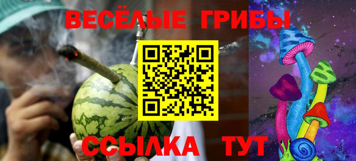 Псилоцибиновые грибы Psilocybe  Вход с VPN  что такое   Псилоцибиновые грибы GOLDEN TEACHER  Богданович 